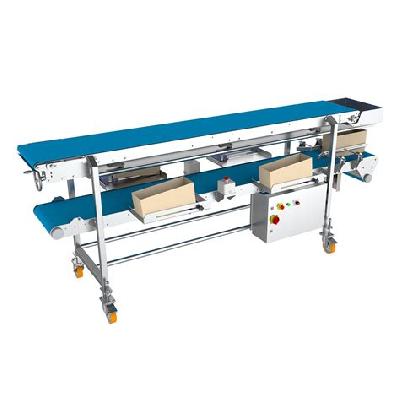 Packing Conveyor System