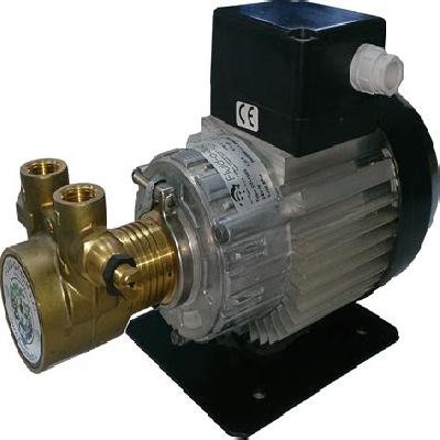 Rotary Vane Pump
