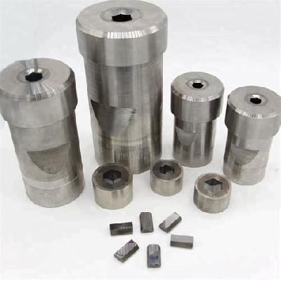 Carbide Punching Die