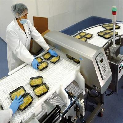 Metal Detector For Food Processing