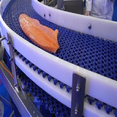 Food Grade Conveyor Belt
