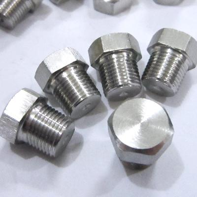 Stainless Steel Plugs