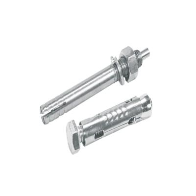 SS Pin Type Anchor Bolt