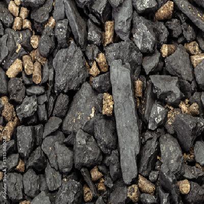 Biomass White Coal