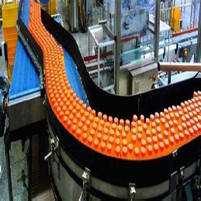 Beverages S.S. Conveyor Blet