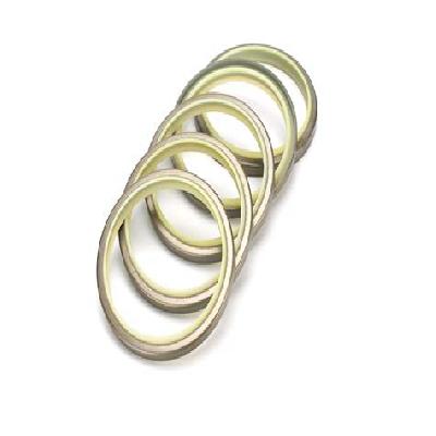 DSI Wiper Seal