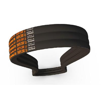 Girnar Dx SPC Section V Belts