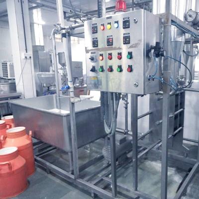 Curd Processing Plant
