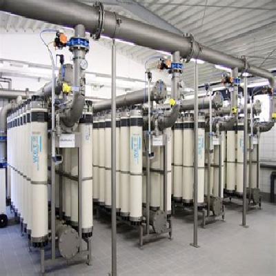 Whey Protein Concentrate Plant