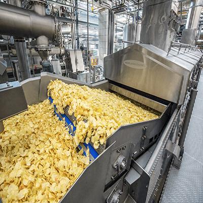 Continuous Potato Chips Fryer