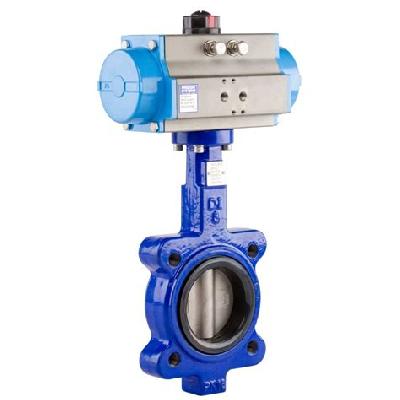 Cast Iron Butterfly Valve