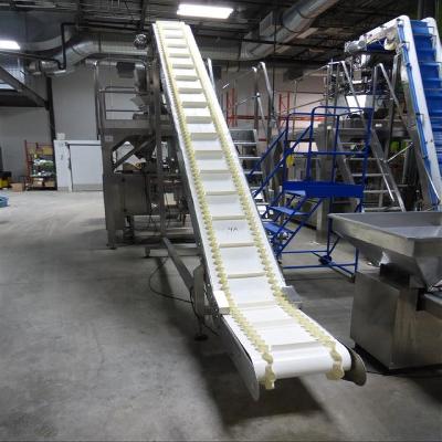 Elevator Conveyor Belt