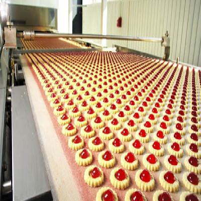 Food Processing Conveyor Belt