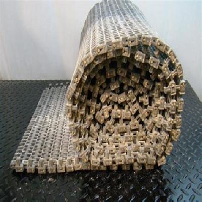Plastic Chain Conveyor Belt