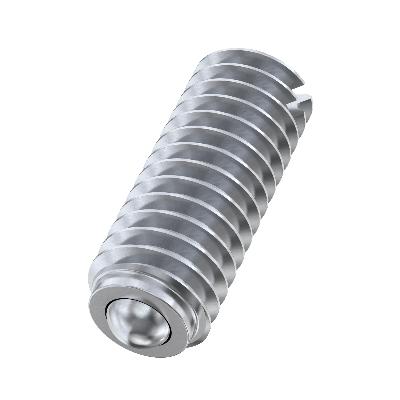 Stainless Steel Grub Screw