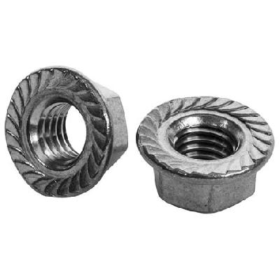 Stainless Steel Hex Flange Nut