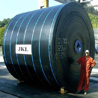 Cold Resistant Conveyor Belt