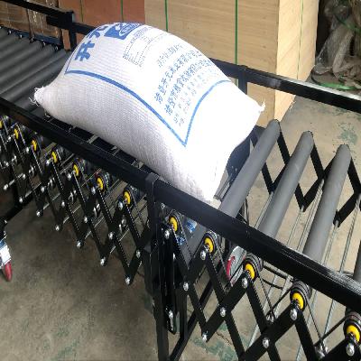 Bag Loading Conveyor