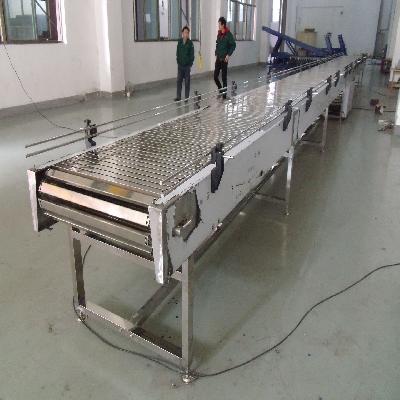 SS Slat Chain Conveyor