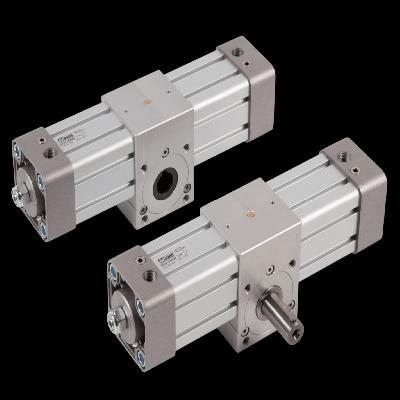 6inch Pneumatic Rotary Cylinder