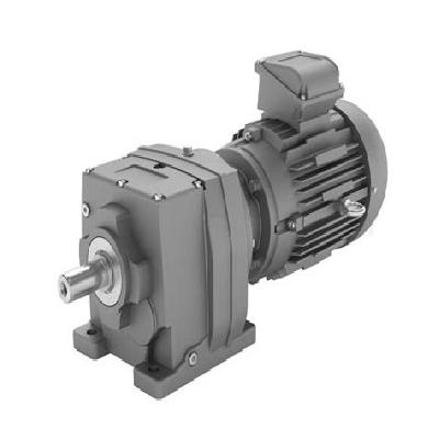 Single Phase Geared Motor