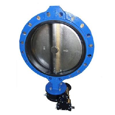 Singble Flanged Butterfly valve 250mm