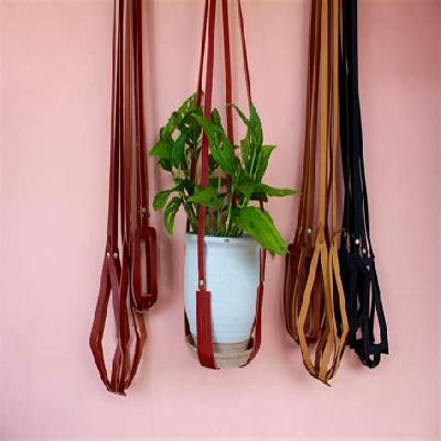 Leather Plant Gear