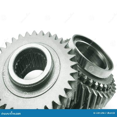 Stainless Steel Gears