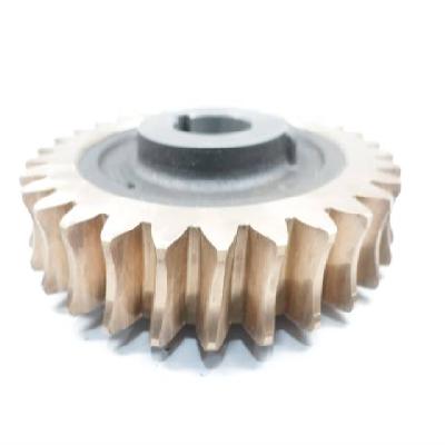 Bronze Worm Gear