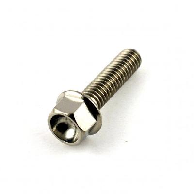 Titanium Hex Bolt