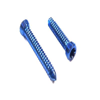 Titanium Screw