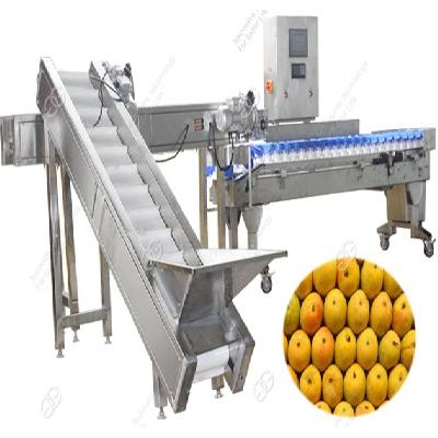 Automatic Mango Grading Machine