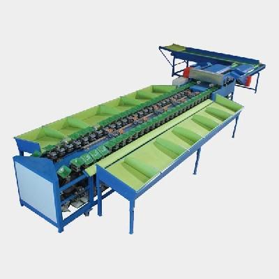 Guavas Grading, Sorting Machine