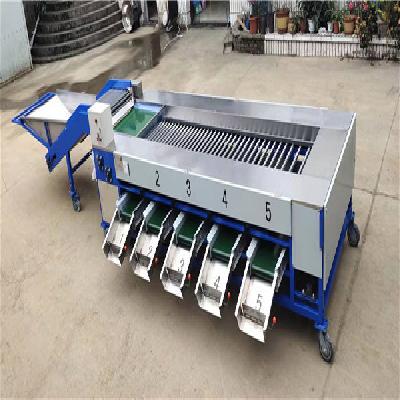 Potato Grading Machine