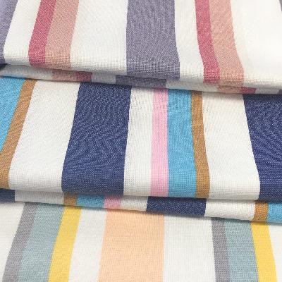 Cotton Canvas Fabrics