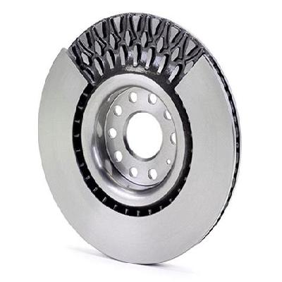 Cast Segmented Discs