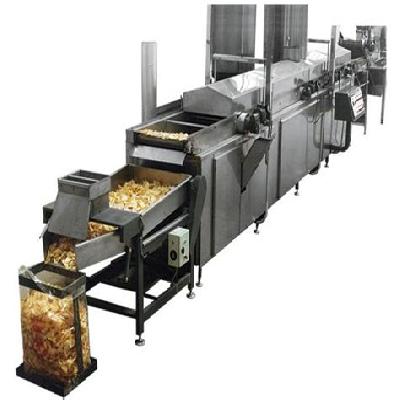 Continuous Fryer