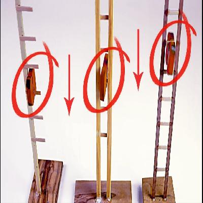 Monkey Ladders