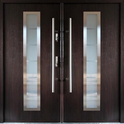 Stainless Steel  Main Door