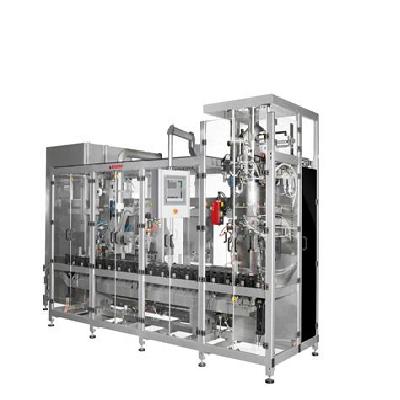CFPM -Form Fill Seal Machine