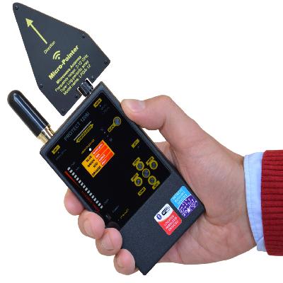 Electronic Bugs Detection Service