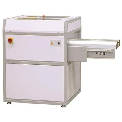 6004-S Telescopic Gate Conveyor