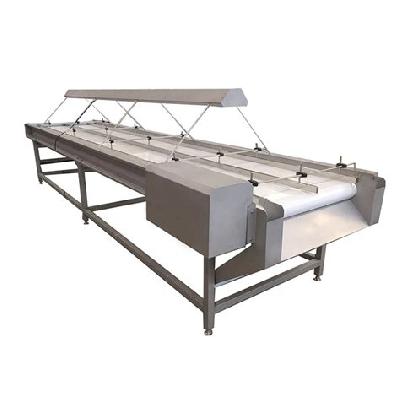 Fruit Sorting And Inspection Conveyor