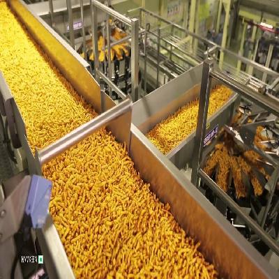 Kurkure On Line Plant