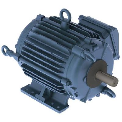 Cooling Tower Motor