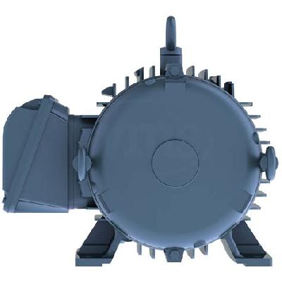Cooling Tower Electric Motor