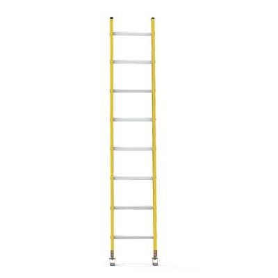 FRP Wall Supported Ladder