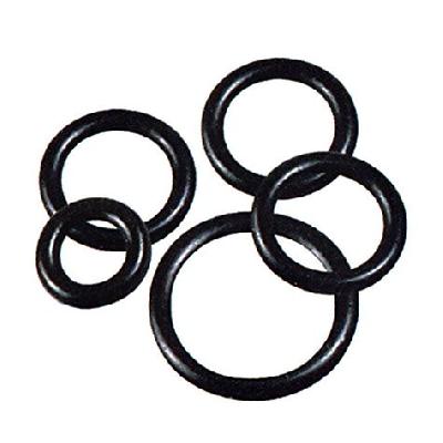 O-Ring 