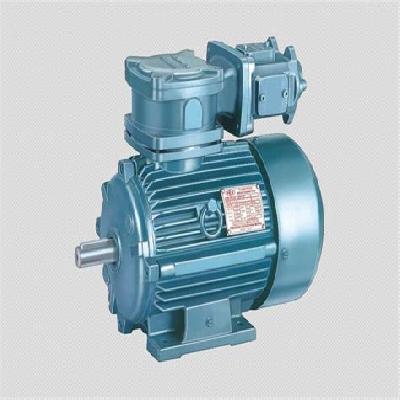 Flame Proof Motor