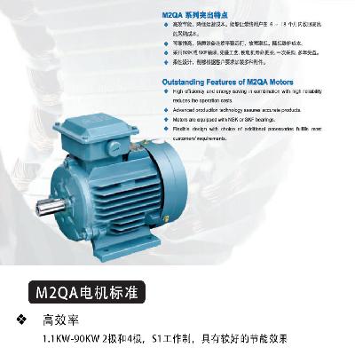 3 Phase Induction Motors
